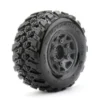 EXTREME KING COBRA - ANTERIORE - PER SHORT COURSE CON CERCHIO - 2 PEZZI