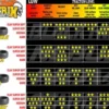 STARDUST SUPER SOFT- 1:8 BUGGY - 2 PEZZI